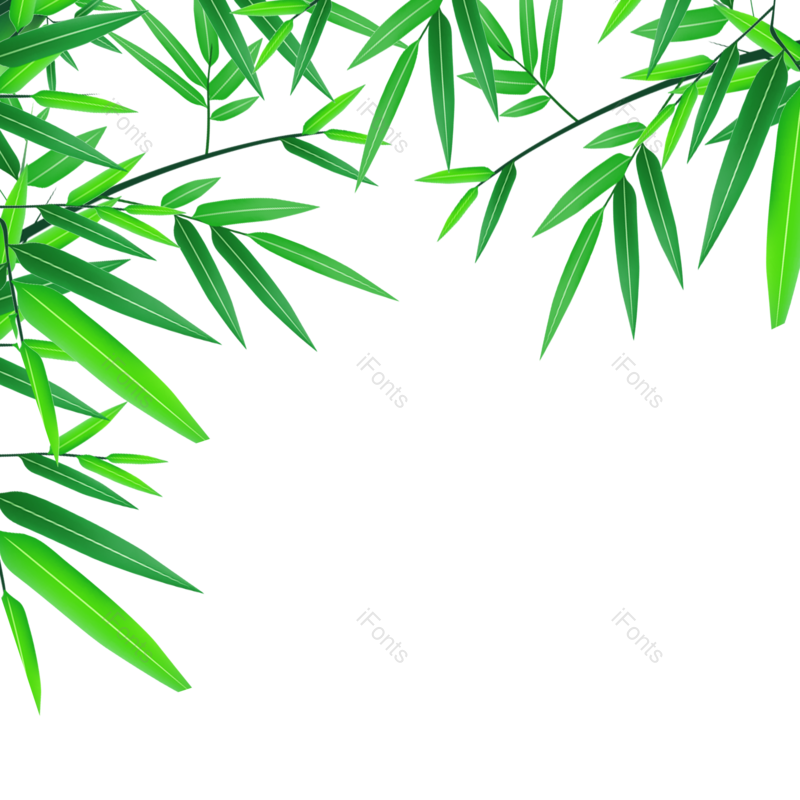 端午图片,竹叶元素,端午节PNG,免抠素材